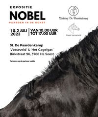 kunst expositie Paardenkamp nannie van Berkel paarden fotograaf fine art