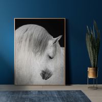 fineart_equine-paarden_fotografie_pegasusart