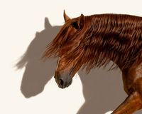 paard_nannie_van_berkel_equine-photo-shadow-fotograaf